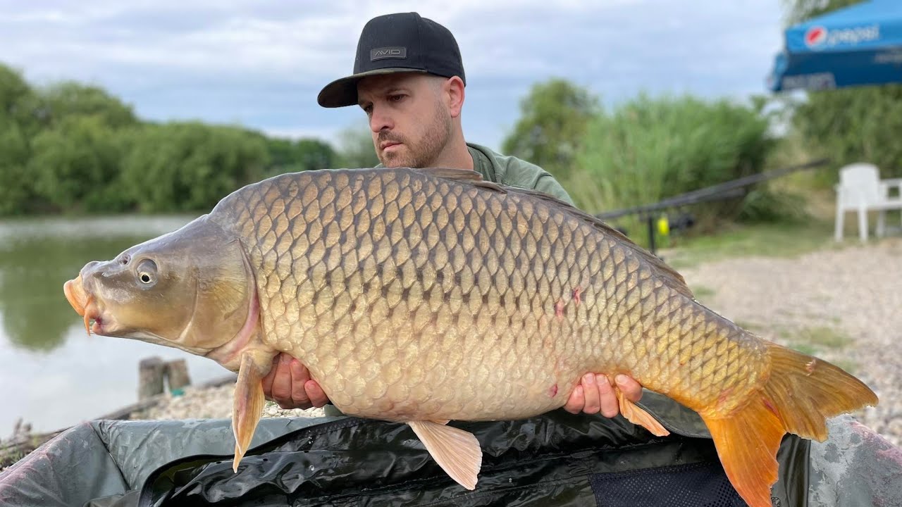 Am fost la un pas sa-mi depasesc recordul personal. Pescuit la crap pe Dyno Lake#carp #carpfishing