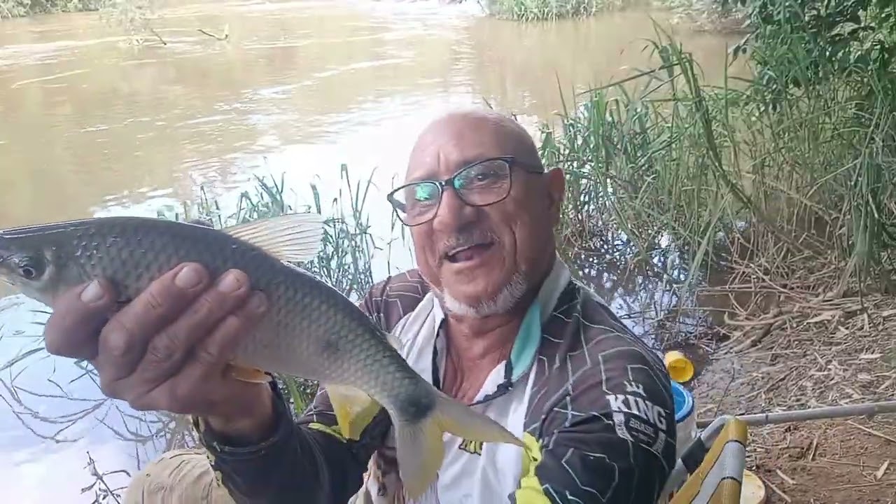 Pescaria produtiva piaparas e lambaris ainda teve um frito em casa