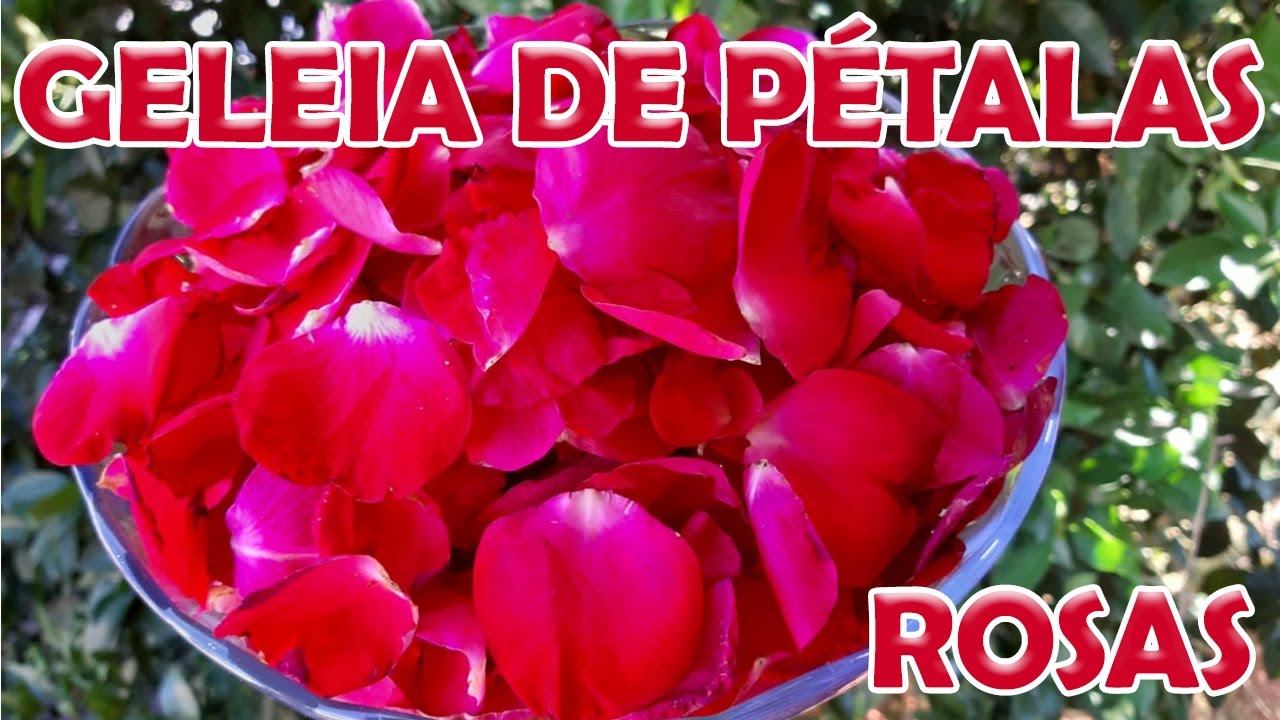 Geleia de Pétalas de Rosas Fácil de Fazer | Ganhe Dinheiro com Geleias PANC