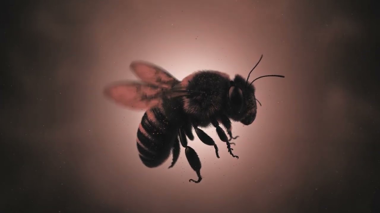 Gesualdi - Little Darling