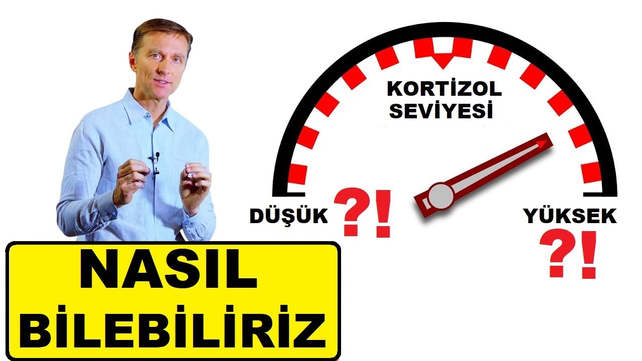 Yüksek Kortizolün En Önemli Belirtisi | Dr.Berg Türkçe