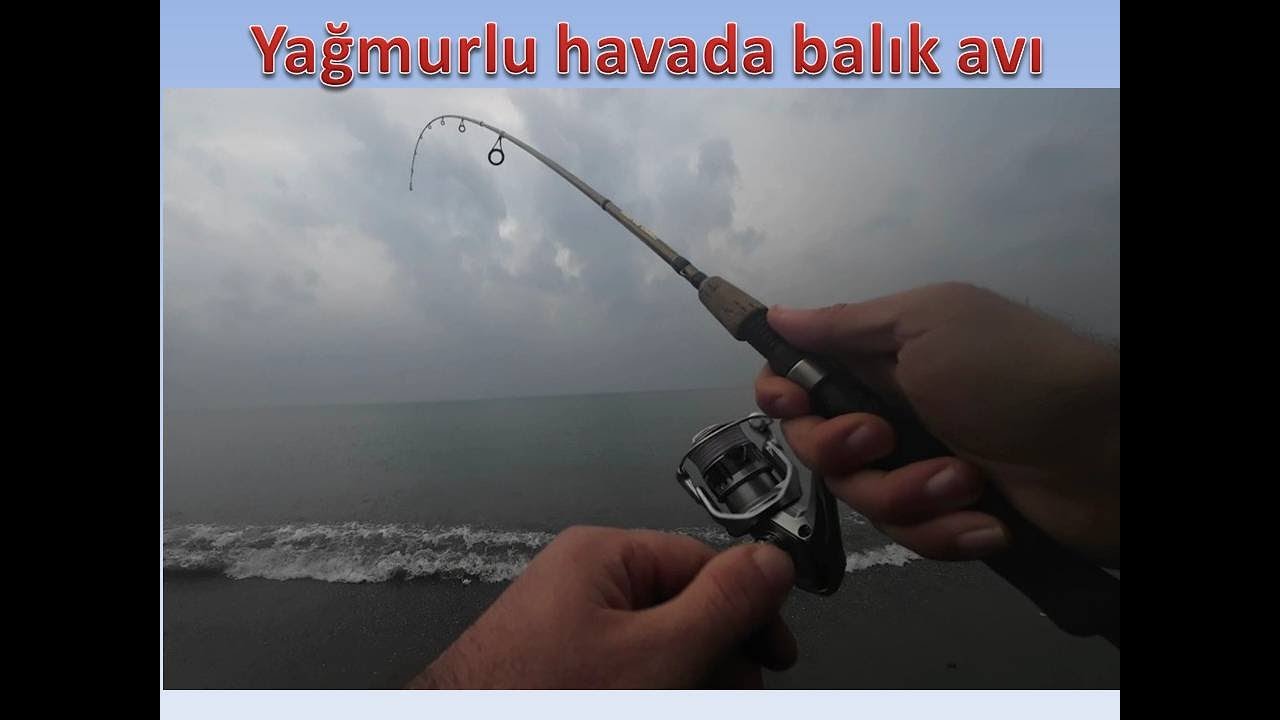 Yağmurlu havada kısa bir LRf Avı (Hanfish Chuni Bait)