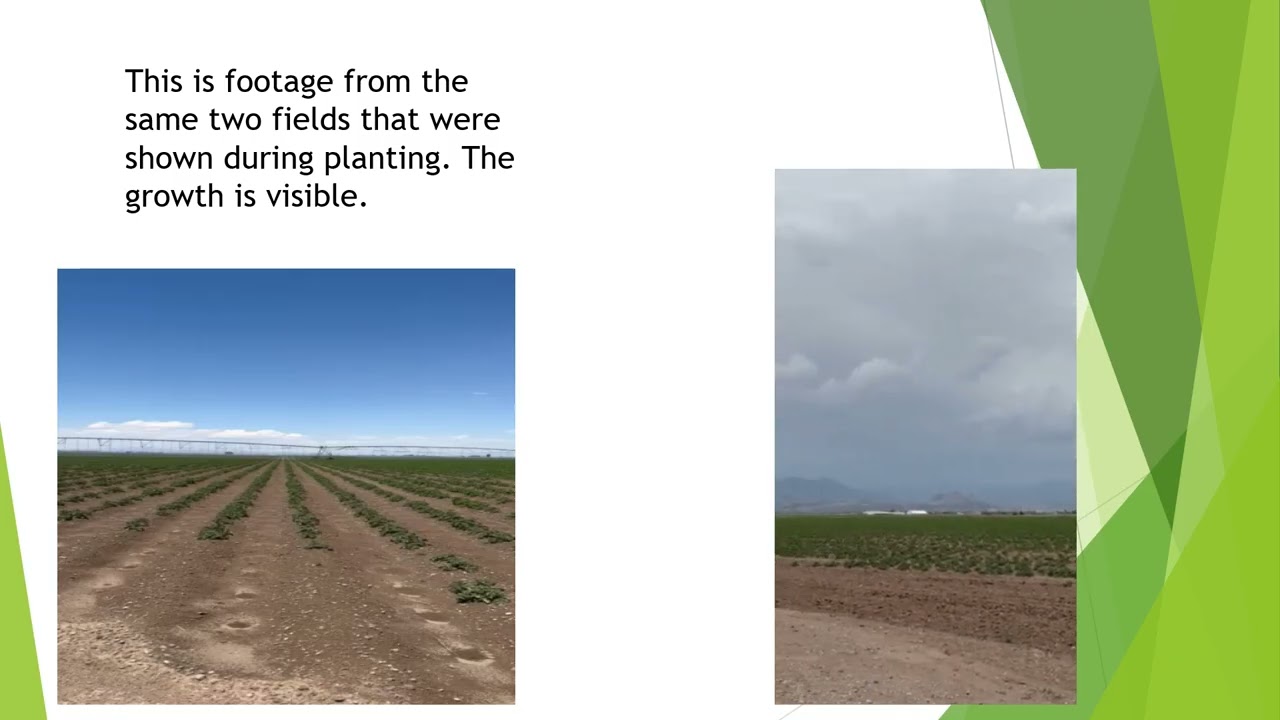 The Journey of a San Luis Valley Potato