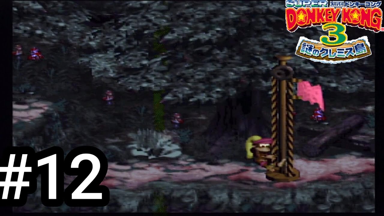 【ゲーム実況】スーパーなドンキー最終章#12【スーパードンキーコング3】