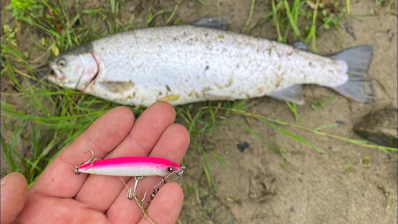Rapala ile somon Balık avı Aksiyonlu ge&ccedil;iyor..#at&ccedil;ek #fishing #karadeniz #somonbalığı #trofeo