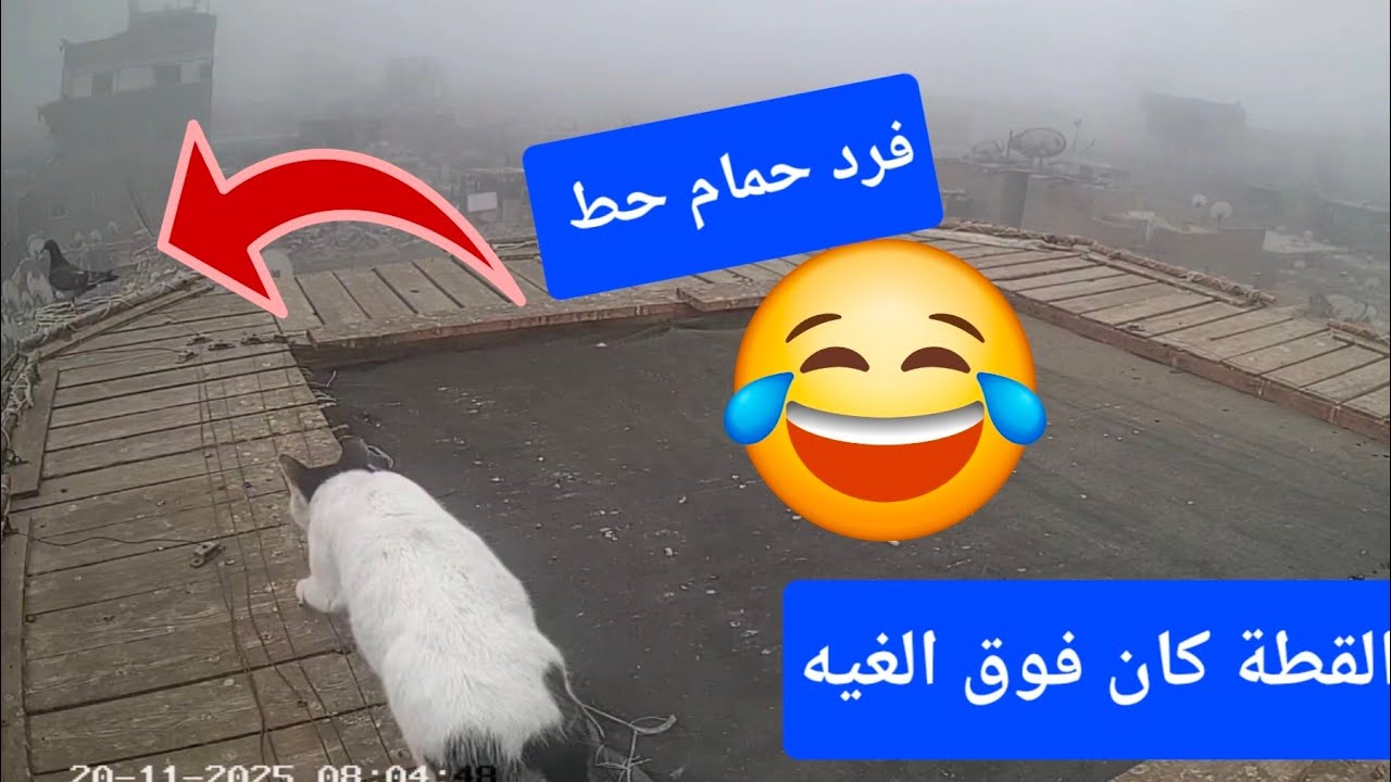 فرد غريب حط وفرد حبس تعالو نشوف كاميرا المراقبة 