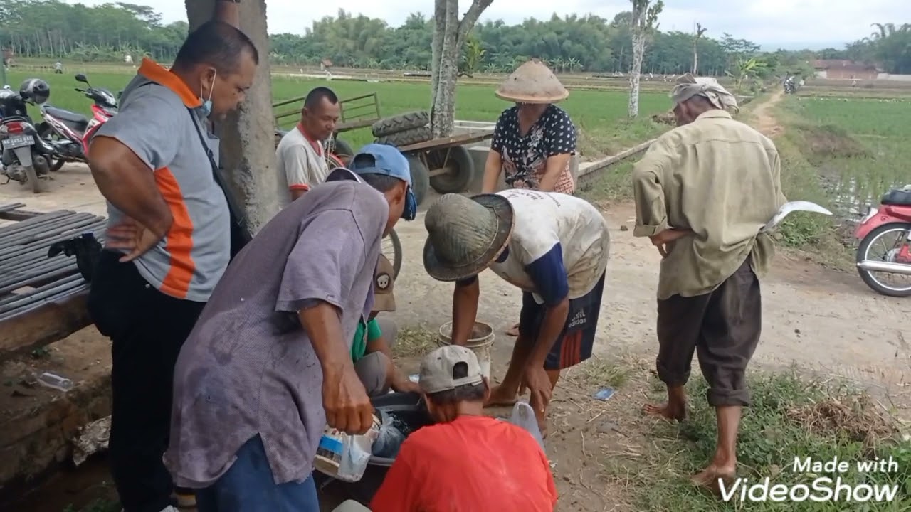 Gerdal Tikus Poktan Desa Sembon Kec.Karangrejo Kab.Tulungagung Jatim