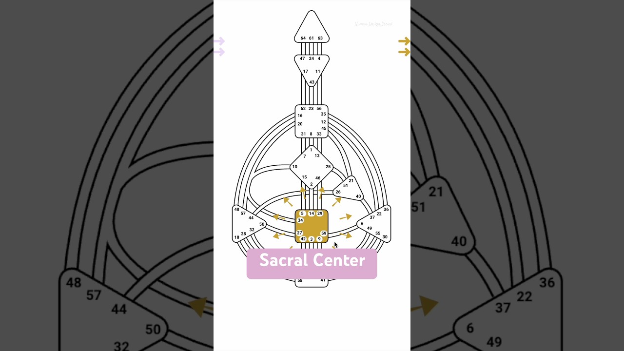 Human Design Sacral Center 🔋 #humandesign #humandesignchart #humandesigncoach