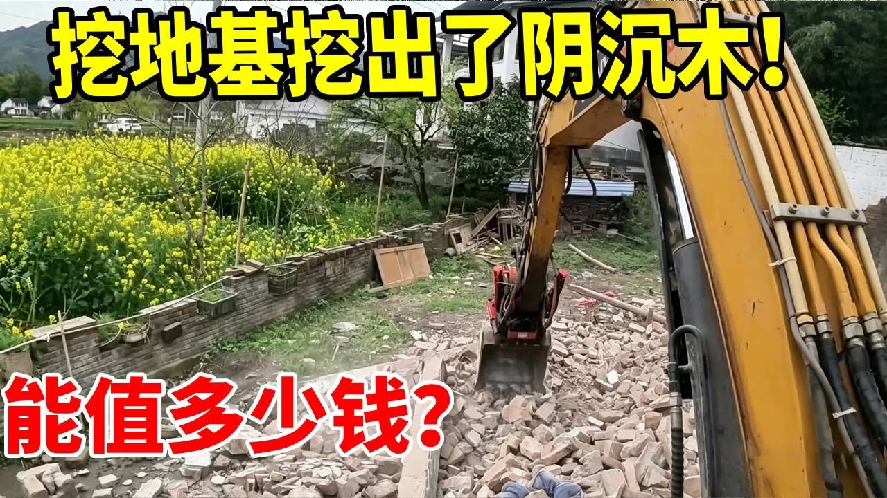 挖地基挖到千年金丝南木，这下发达了，拿去车几个珠珠岂不快哉 #上热门 #挖机日常生活 #工程机械 #农村自建房 #谢挖挖