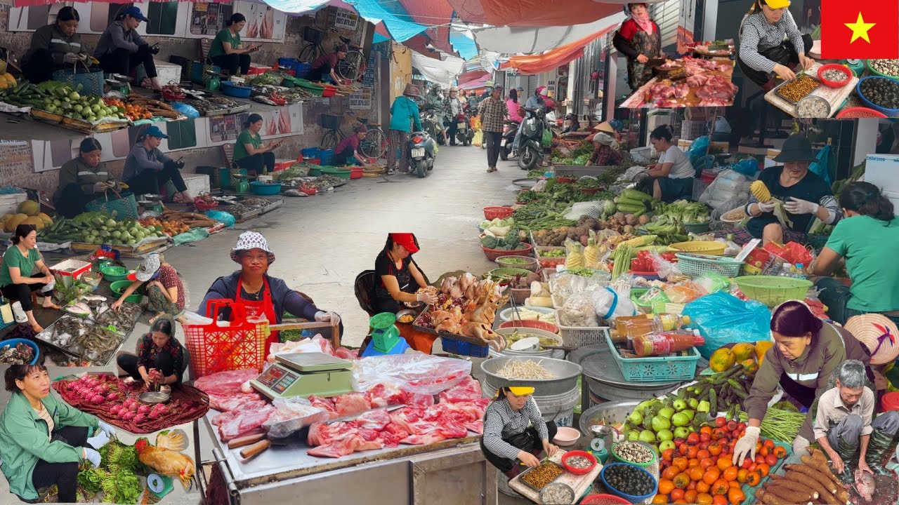 Vietnam Traditional Morning Market At HaiPhong | Seafood, Vegetables, Fruits, Pork, Beef, Chicken..