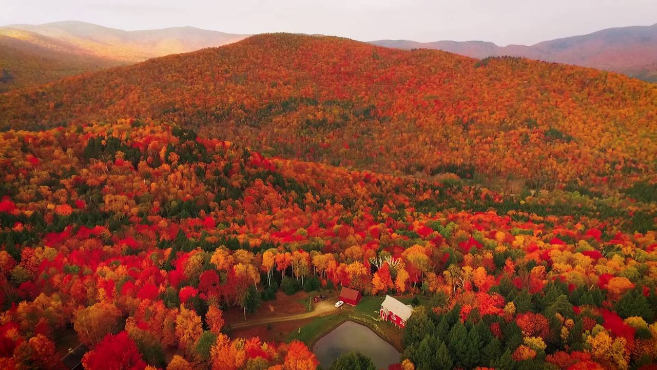 Fall Foliage Mad River Valley