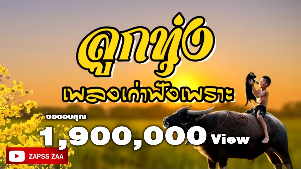 เพลงลูกทุ่งเก่าฟังเพราะ ทุกช่วงเวลา