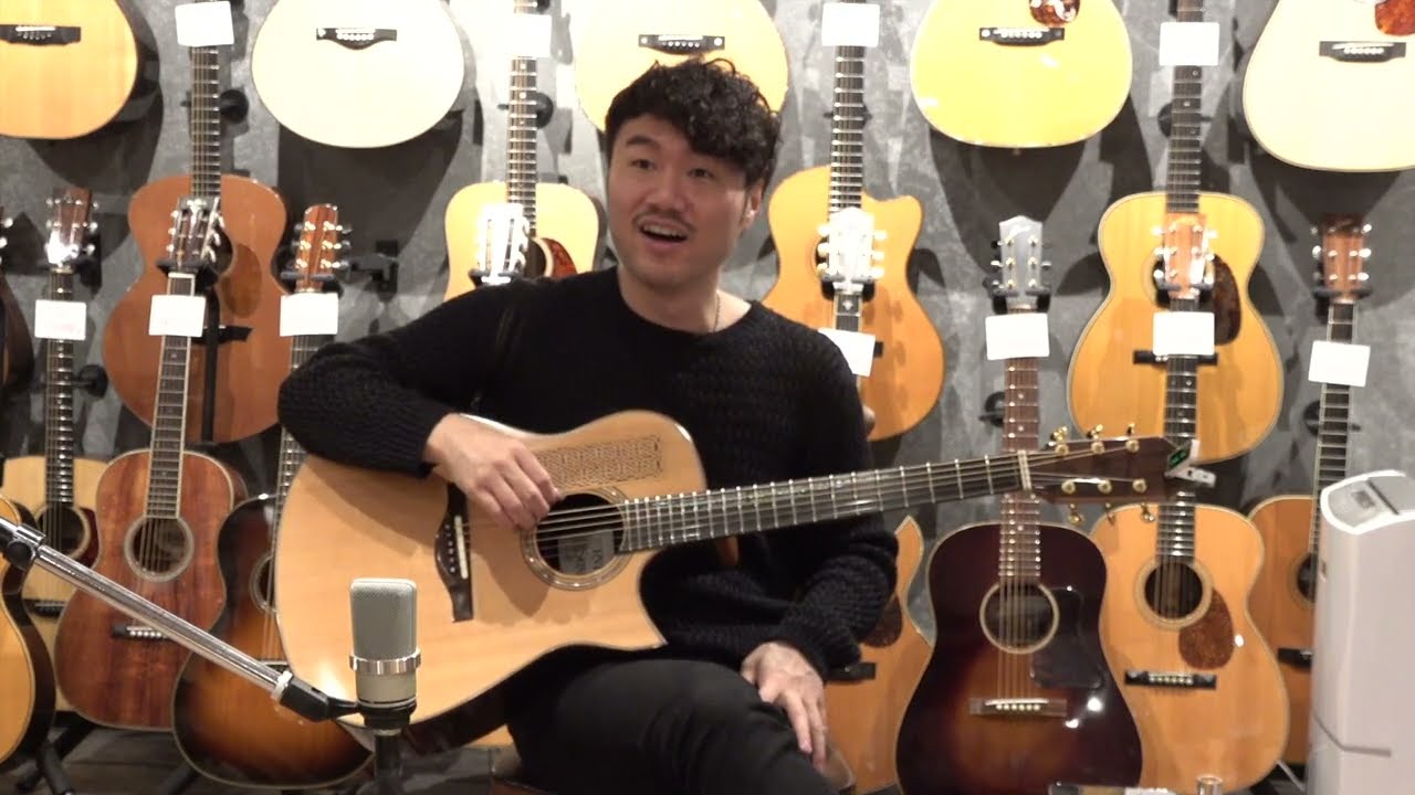 Blue-G & Tetsuro Toyama (遠山 哲朗) Ervin Somogyi Modified Dreadnought Cutaway (2003)