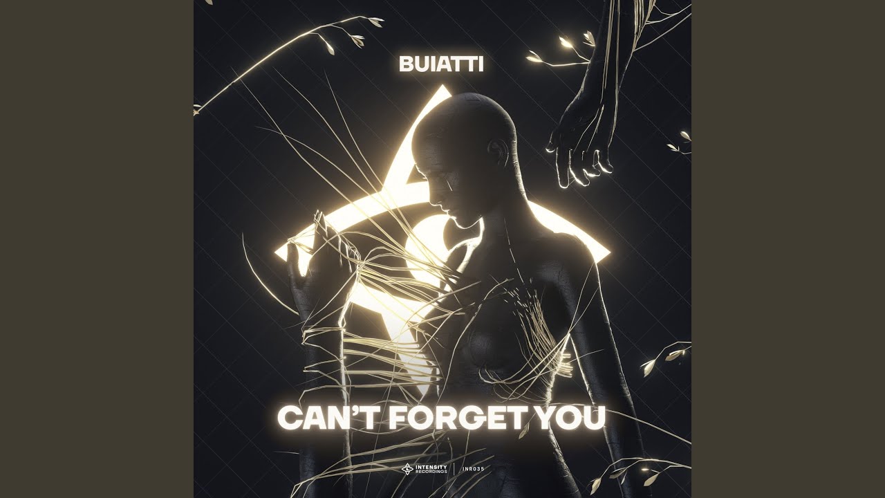 Can't Forget You