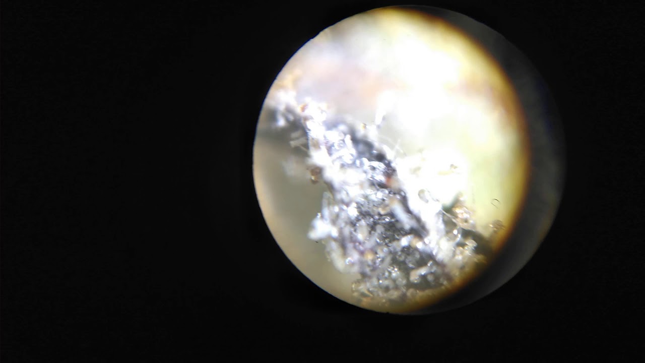 Full Moon Halloween trichomes