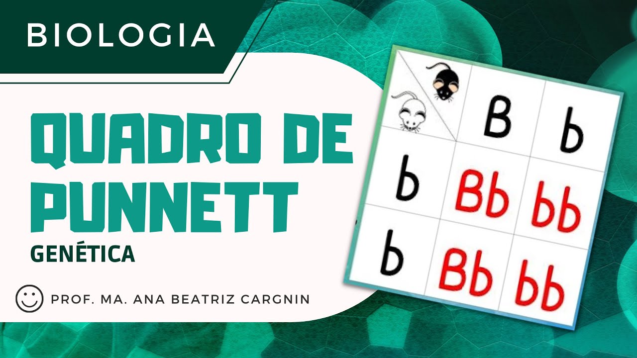 Quadro de Punnett - GENÉTICA