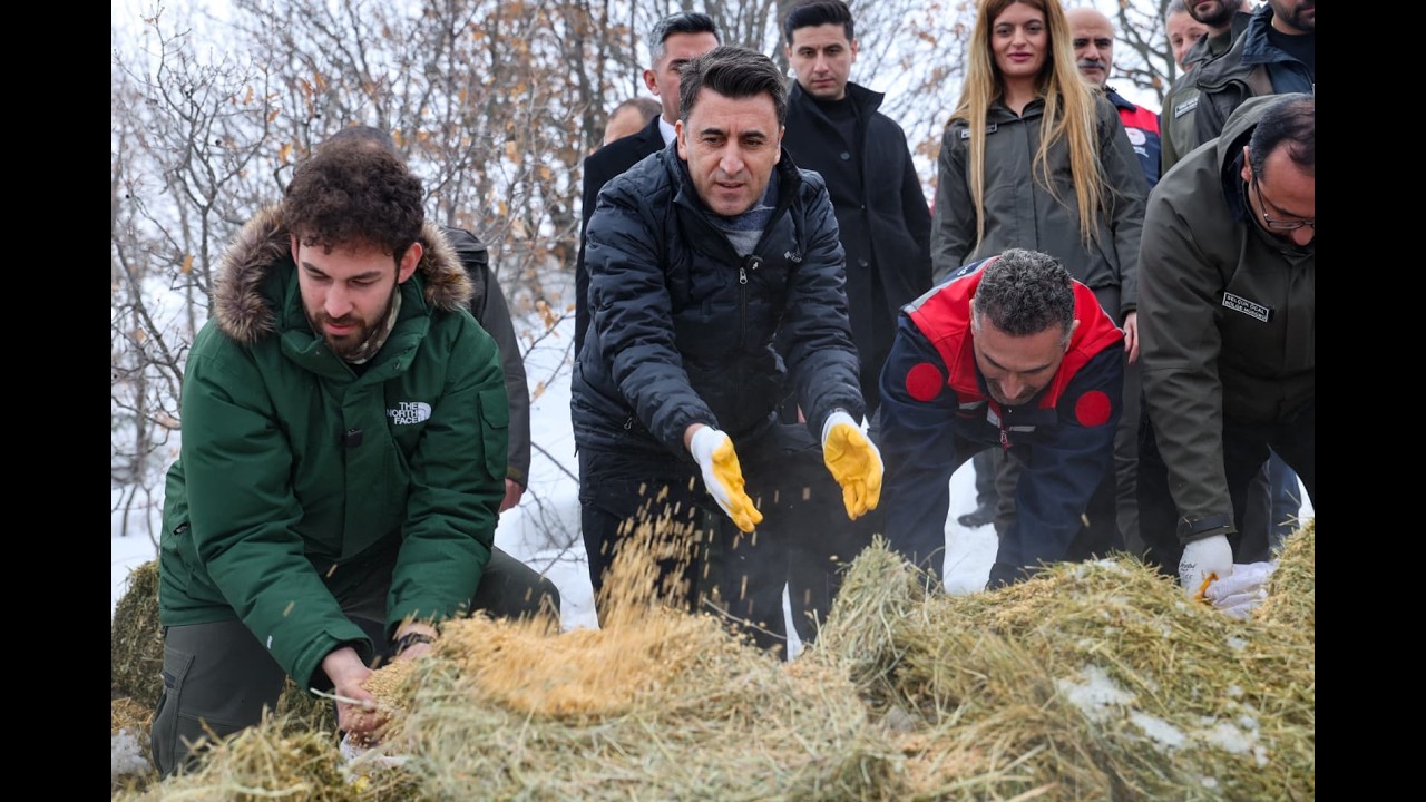 DOĞAYA KIŞ DESTEĞİ: YABAN HAYATI İÇİN 1 TON YEM BIRAKILDI