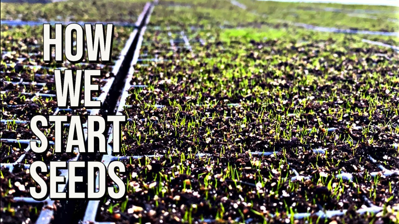 How We Start Seeds - Nursery Walk 2/11/2022