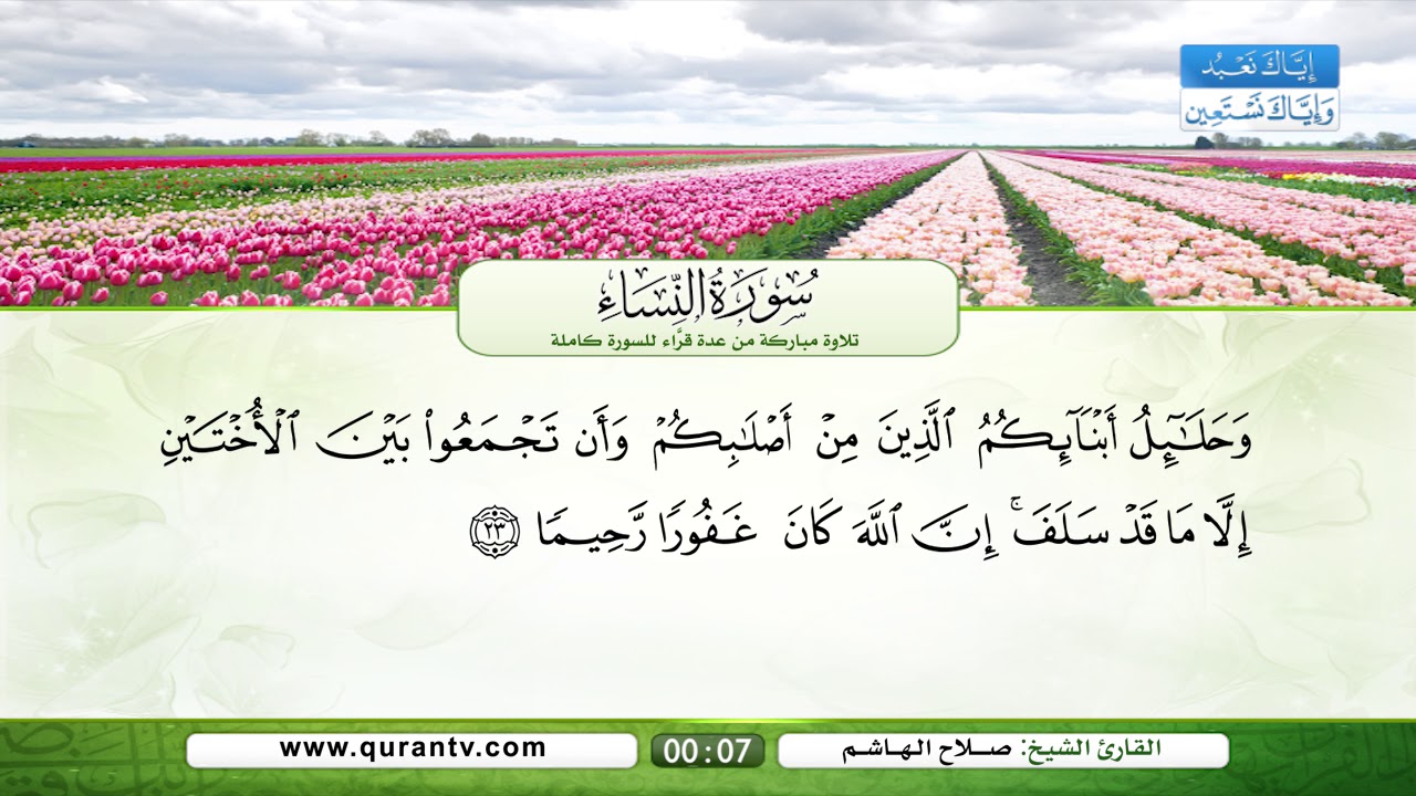 سورة النساء | سعد الغامدي | فؤاد الخامري | عبد الله بصفر | صلاح الهاشم | يحي حوى | نبيل الرفاعي