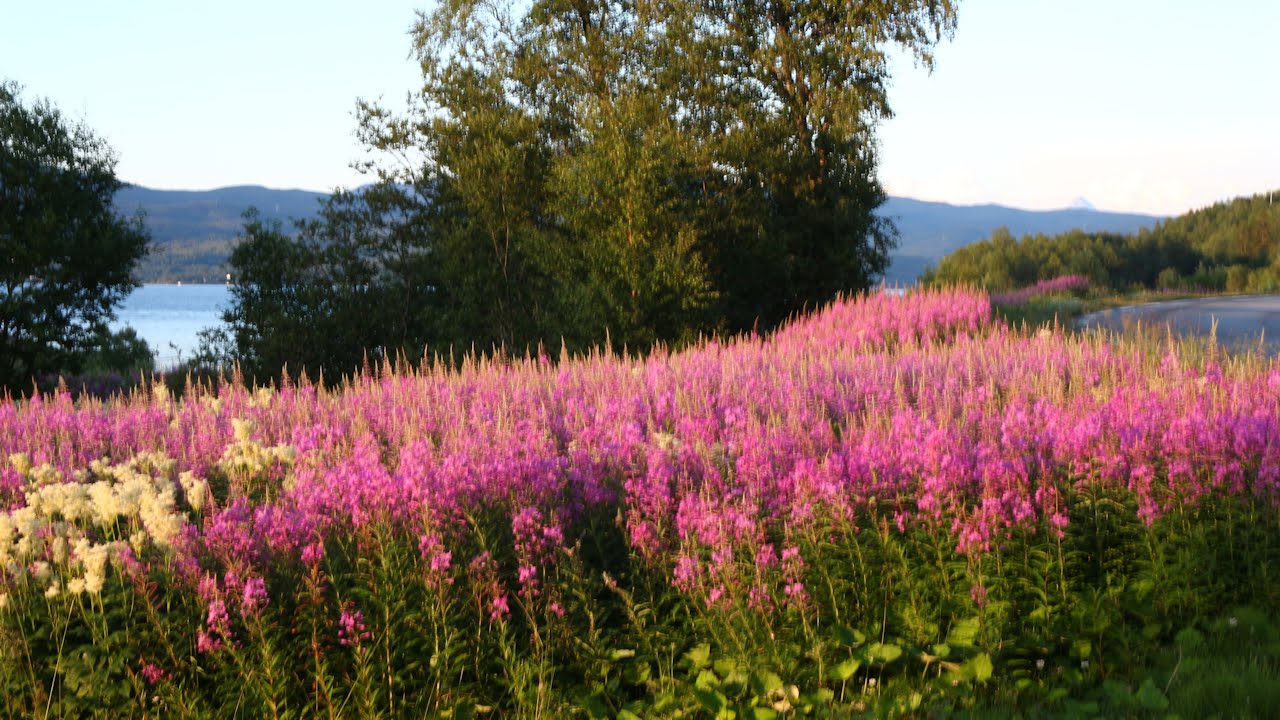 NORGE I BILDER VAKRE NORGE I BILDER