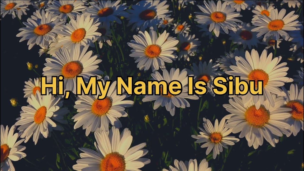 Hi, My Name Is Sibu (Prod. harrygotbeats)