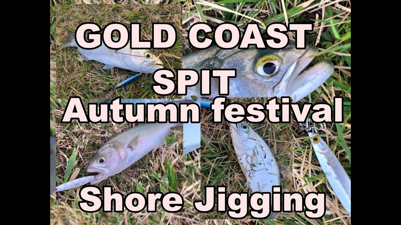 Gold Coast SPIT Shore Jigging Fes !