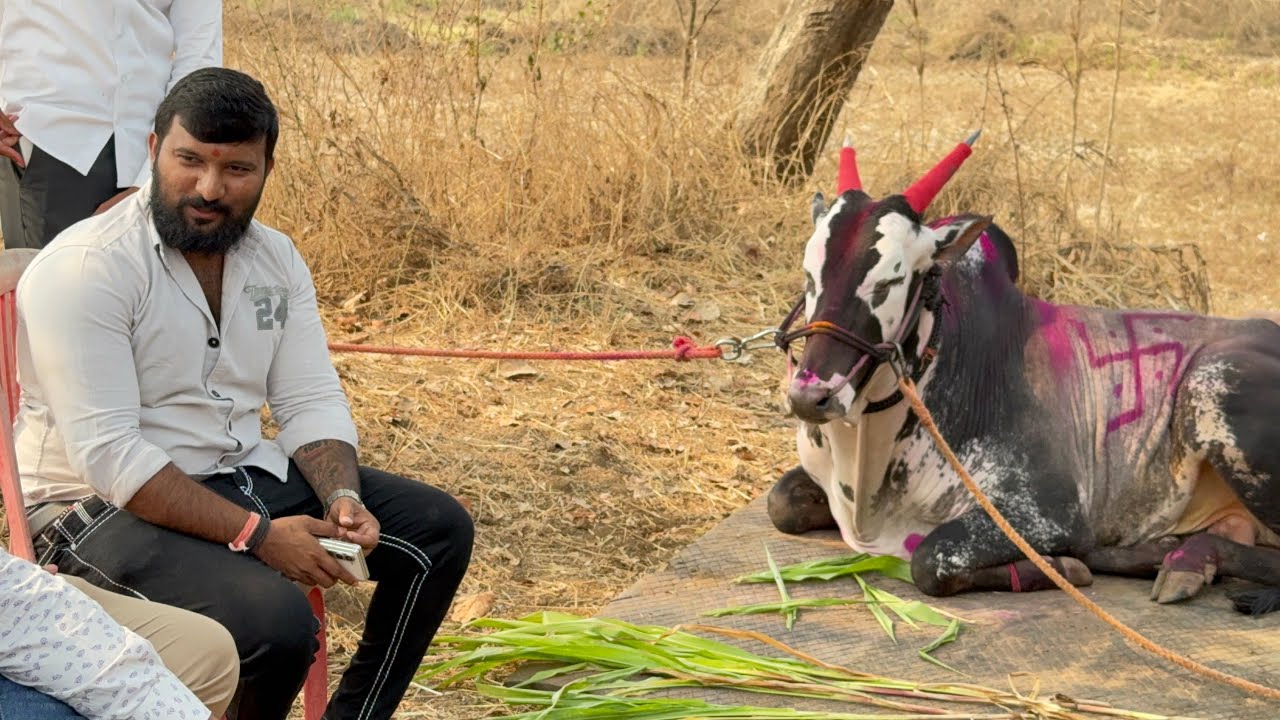 राहुल भाई खिडकाळी मैदानात दाखल केली एलियन च्या मालकांशी चर्चा 😍
