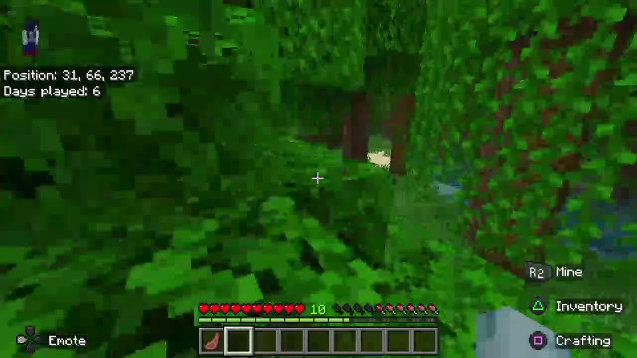 Minecraft