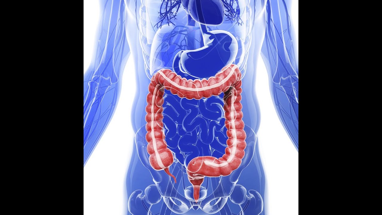 life sciences grade 11: NUTRITION (PART 1) processes of digestive system in 10mins |ThunderEDUC| m.s