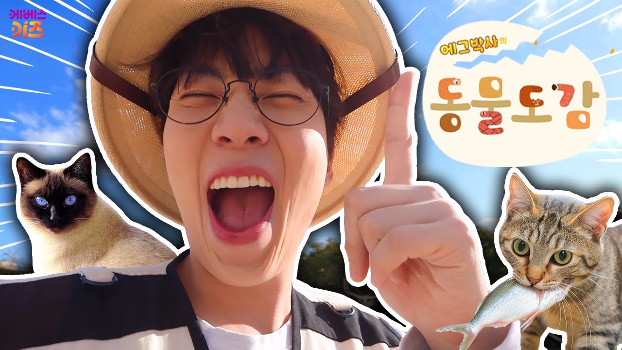 오늘은 어떤 동물을 만날까?ㅣ에그박사의 동물 도감 6~10회 모아보기ㅣKBS 방송