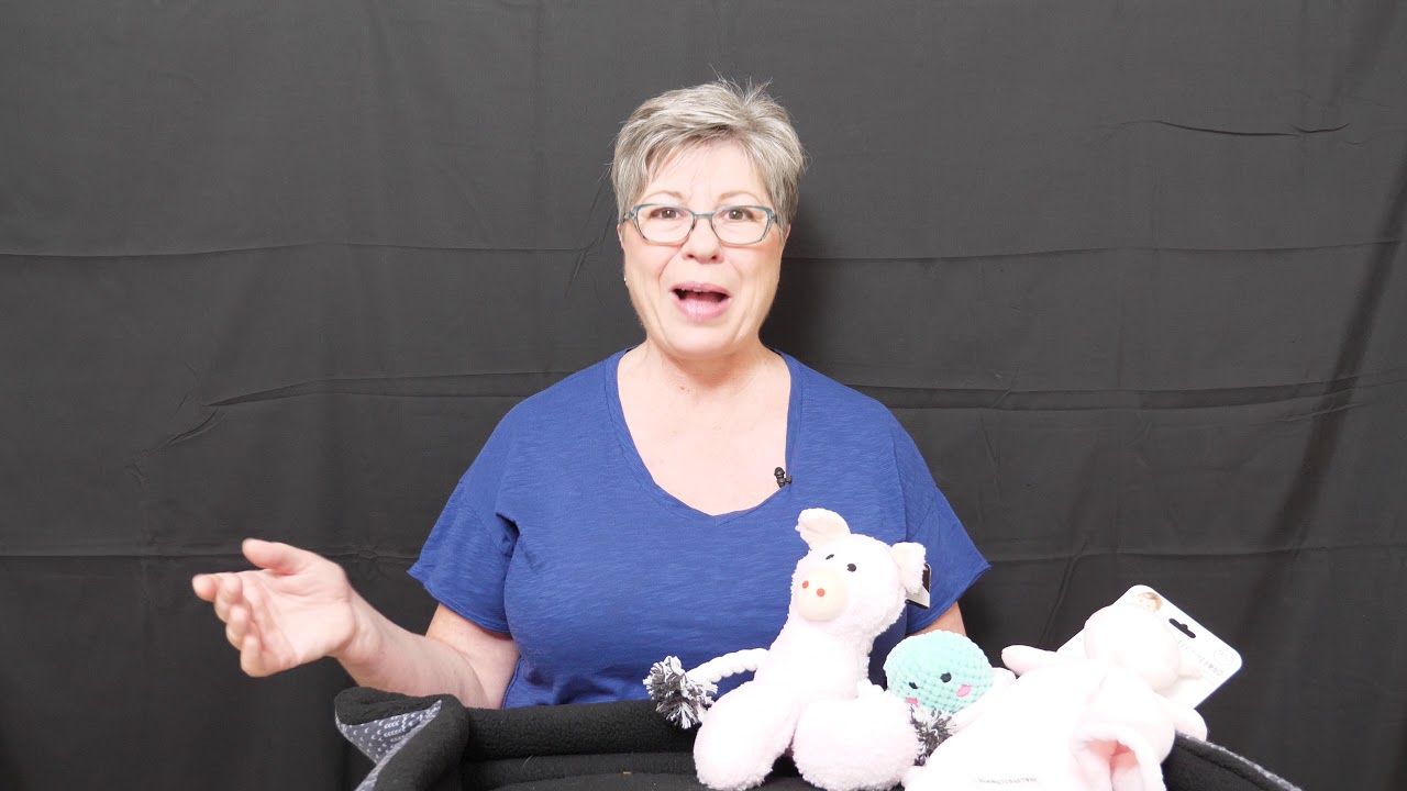 How to socialize a labradoodle pupppy during Covid video