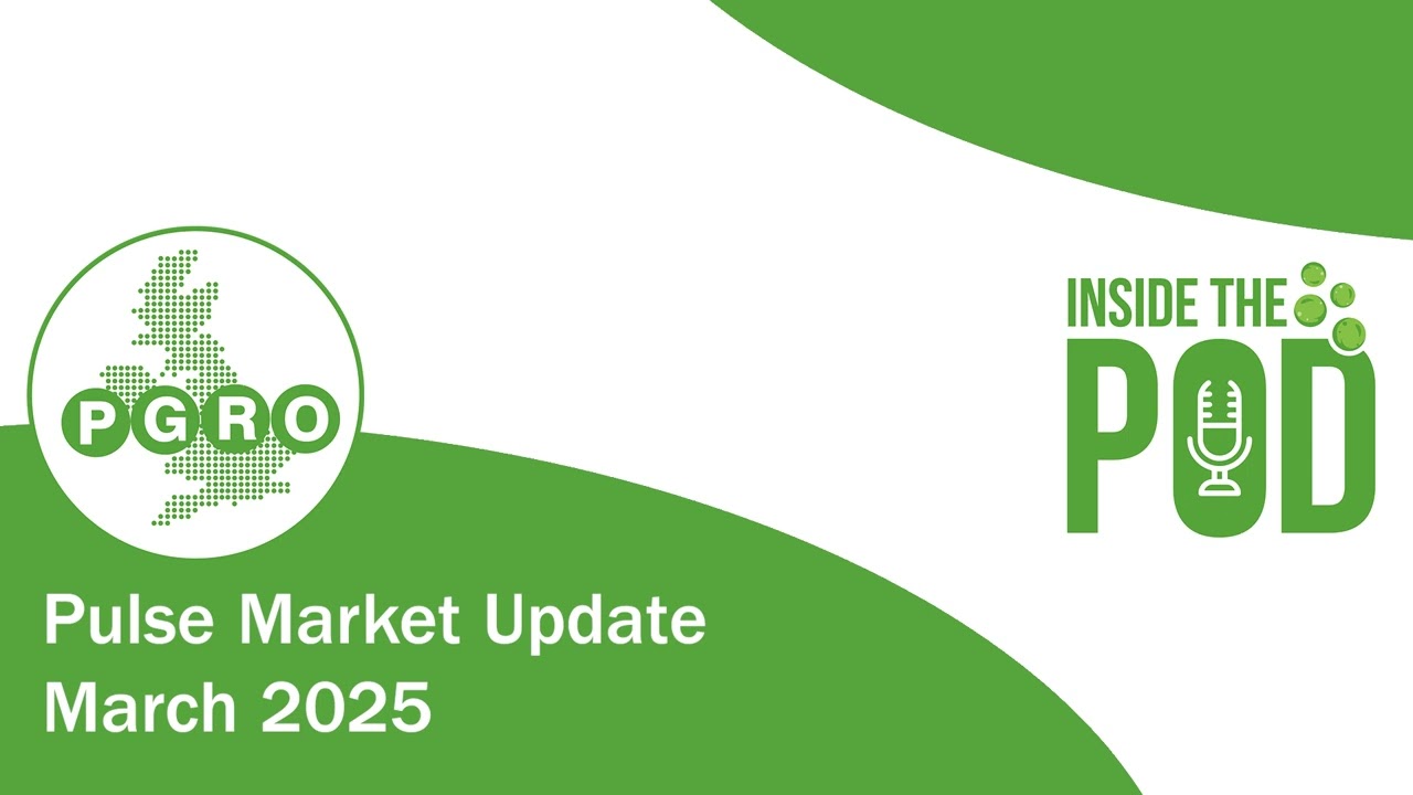 Inside the Pod - Pulse Market Update: March 2025