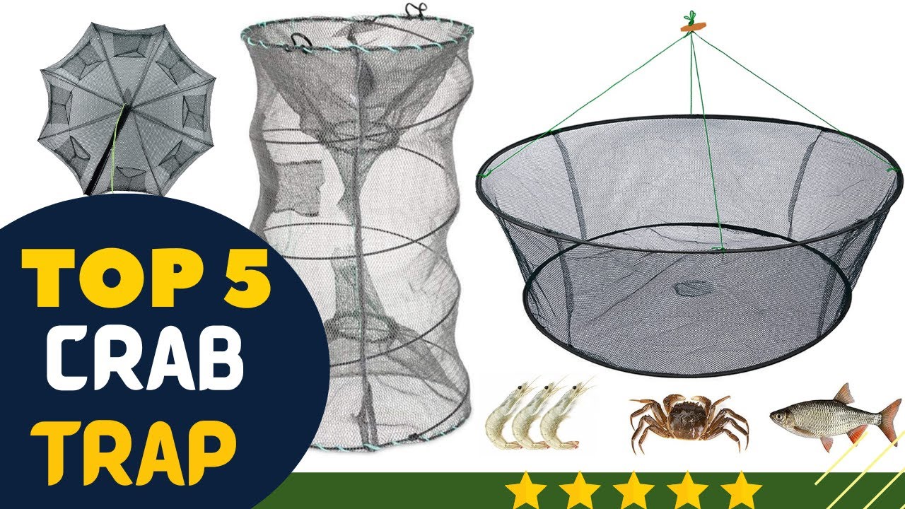 Best Crab Traps  in 2025 !! Top 5 Tested & Buying Guide