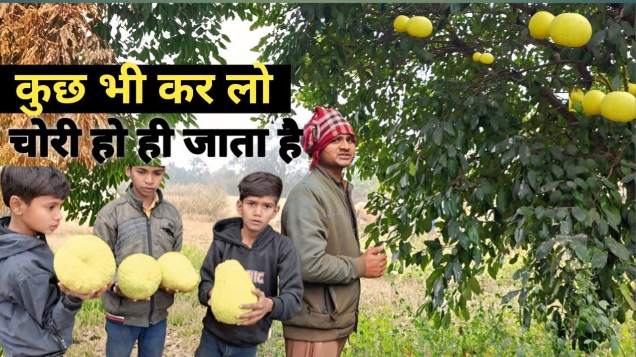हम खूब अच्छे से ध्यान रखें तो भी सारे नींबू चोरी हो गए😭