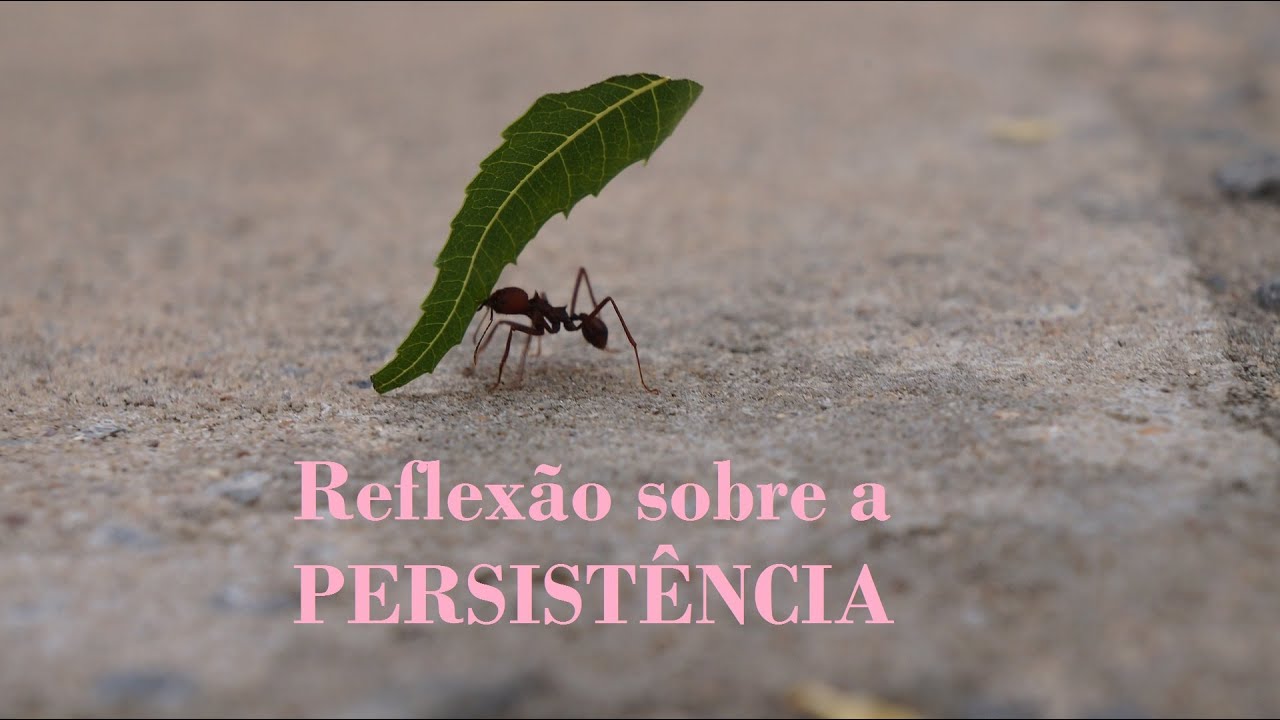 PERSISTÊNCIA-  Vídeo motivacional e inspirador