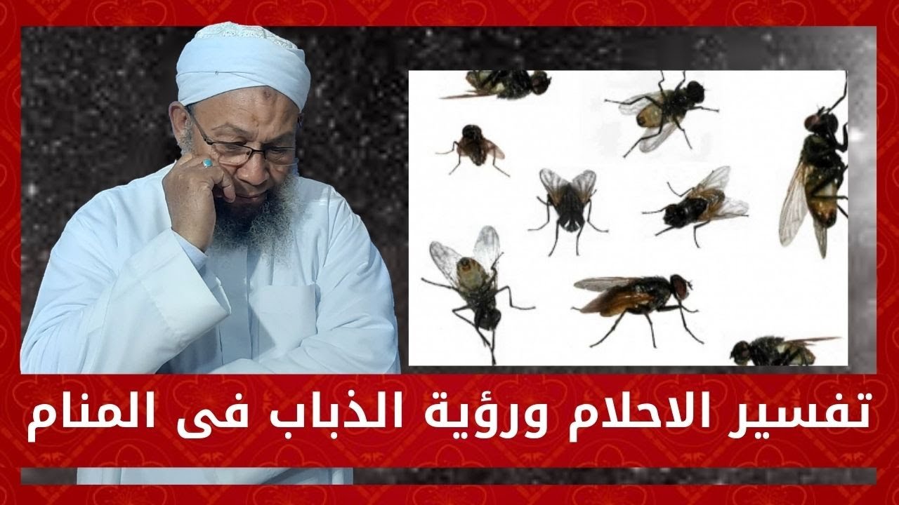 تفسير الاحلام ورؤية الذباب فى المنام