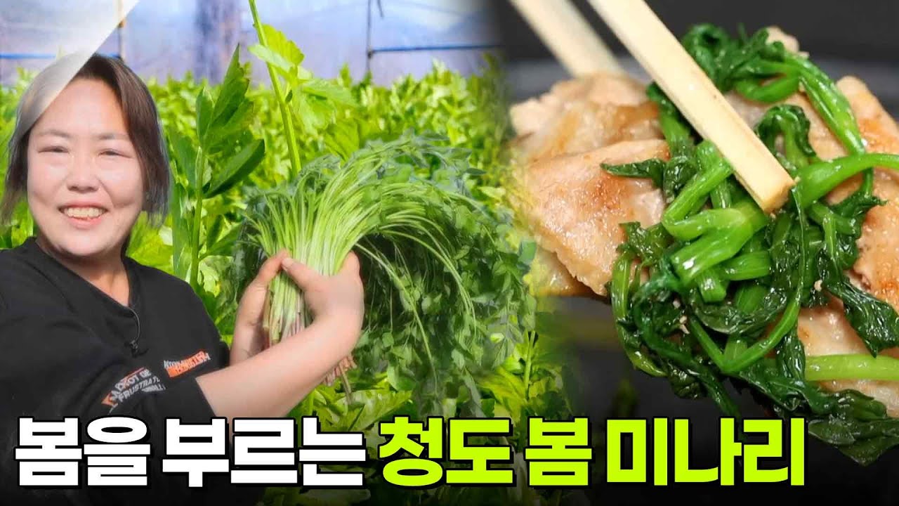 생생현장: 봄을 부르는 청도 봄 미나리 [2TV 생생정보] | KBS 260302 방송