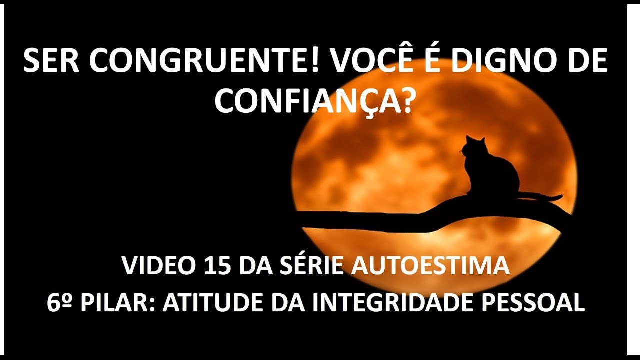 6&ordm; pilar &ndash; A atitude da integridade pessoal: Ser congruente! Voc&ecirc; &eacute; digno de confian&ccedil;a?!