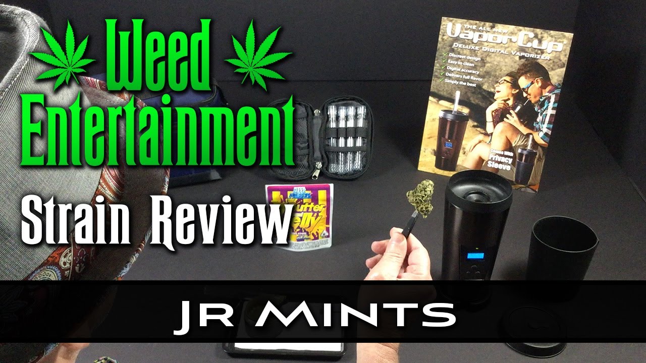 Jr Mints - Hybrid - by Top Shelf Cultivation - Strain Review - from Dr Greenthumbs, Sylmar Ca
