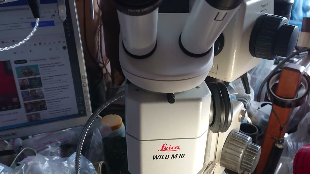 leica plan 0.5x achromatic objective on leica wild m10 microscope