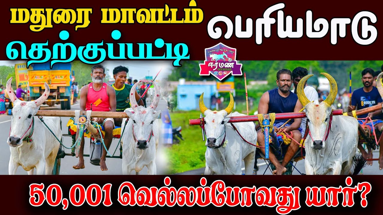 🔴LIVE(நேரலை) | தெற்குபட்டி  | மதுரை மாவட்டம் | பெரியமாடு | பந்தயம்