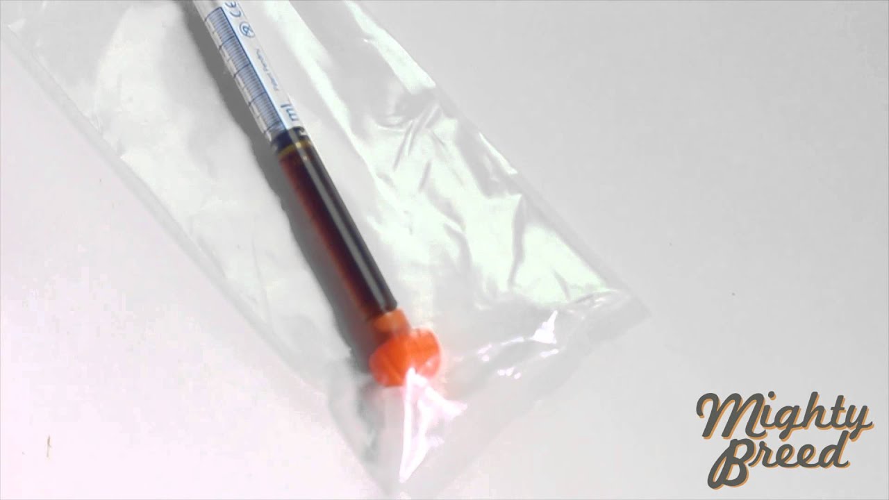 Product Test: Absolute Extracts Sativa Absolute CO2 oil Applicator