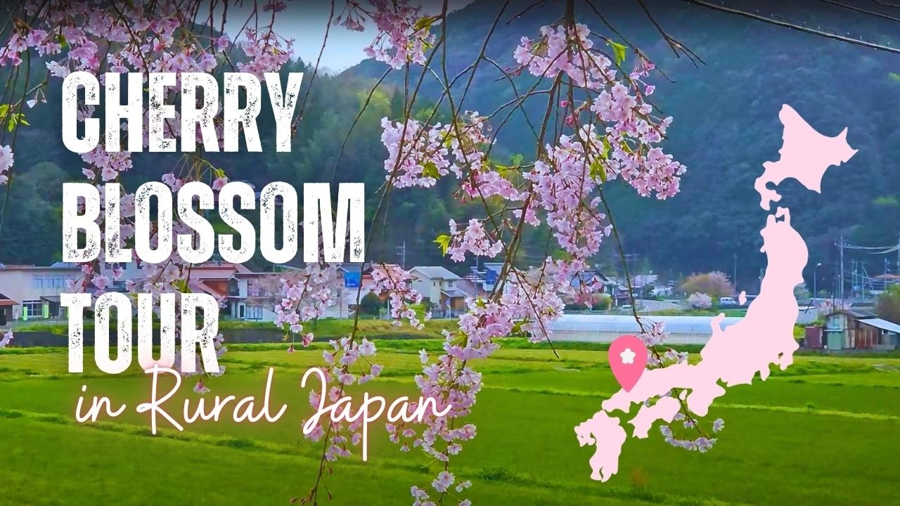 Cherry Blossoms in Rural Japan: A scenic Spring drive through the peaceful town of Mitocho, Shimane