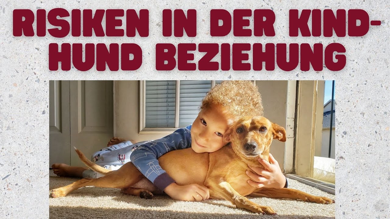 Kinder und Hunde - Welche GEFAHREN lauern?⚡️