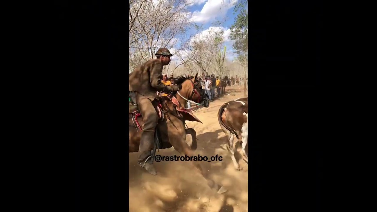 Zé de Almeida - Homenagem ao vaqueiro Lorinho e seu grupo 