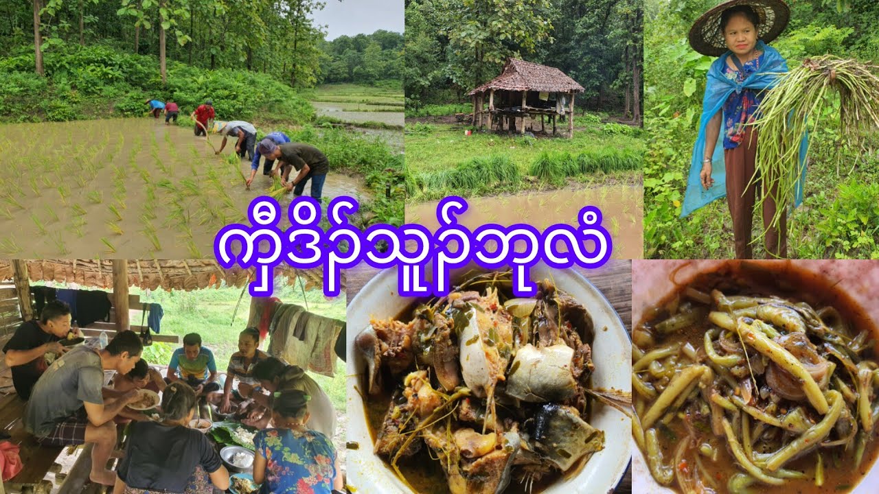 Karen farmers with natural food