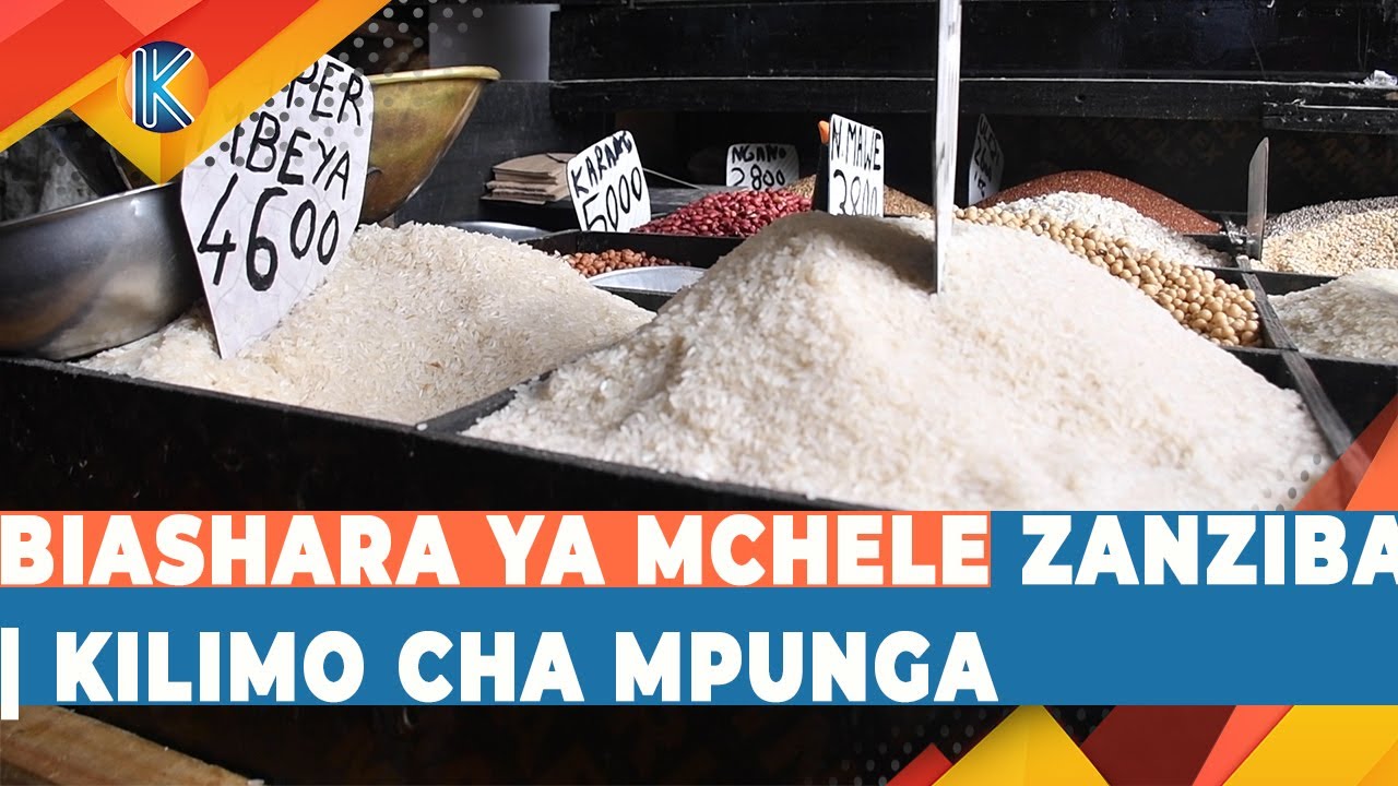BIASHARA YA MCHELE ZANZIBAR | KILIMO CHA MPUNGA.