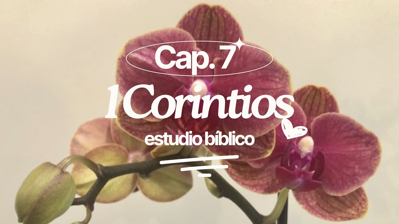 1 Corintios Cap&iacute;tulo 7 &mdash; Estudio B&iacute;blico