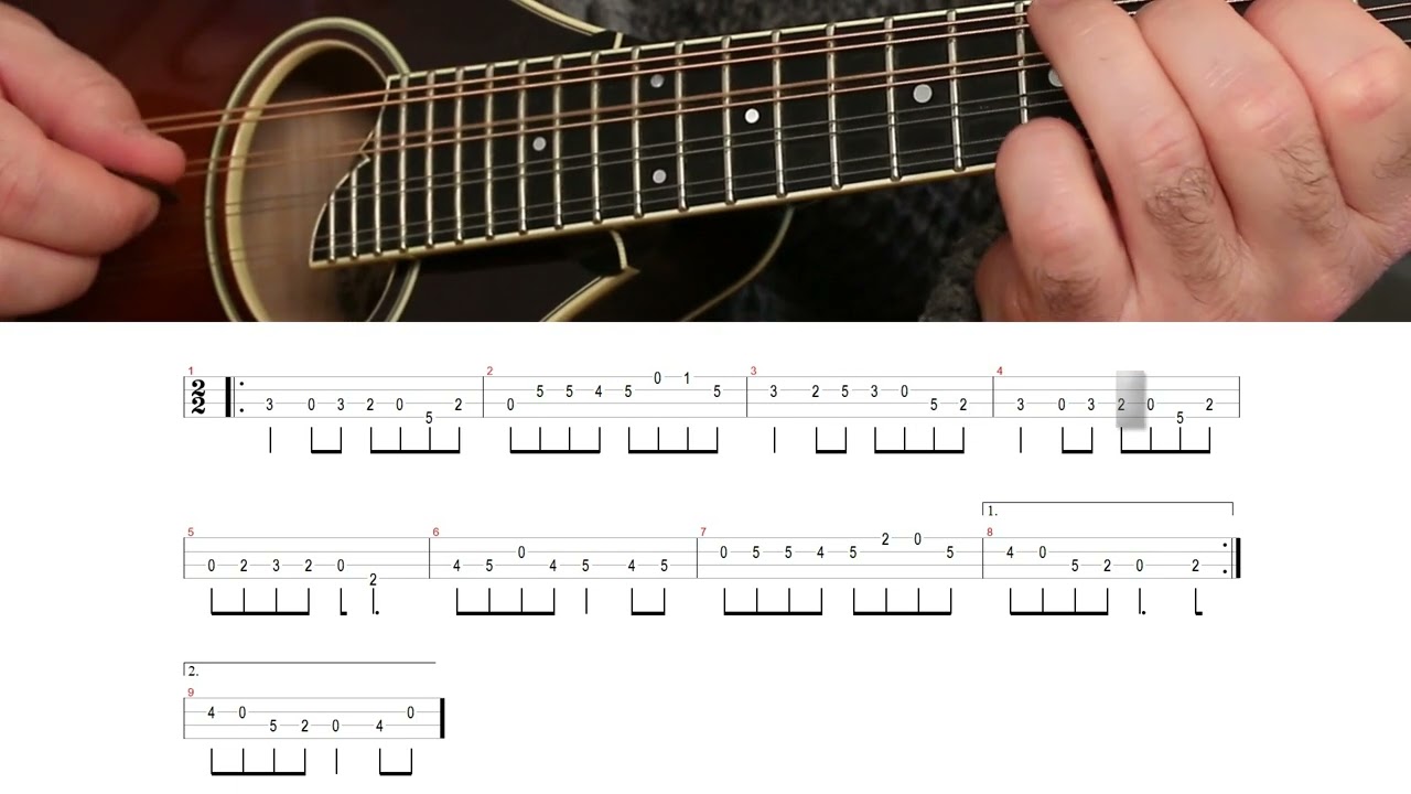 Irish Mandolin lessons. Leddy from Cavan (reel)