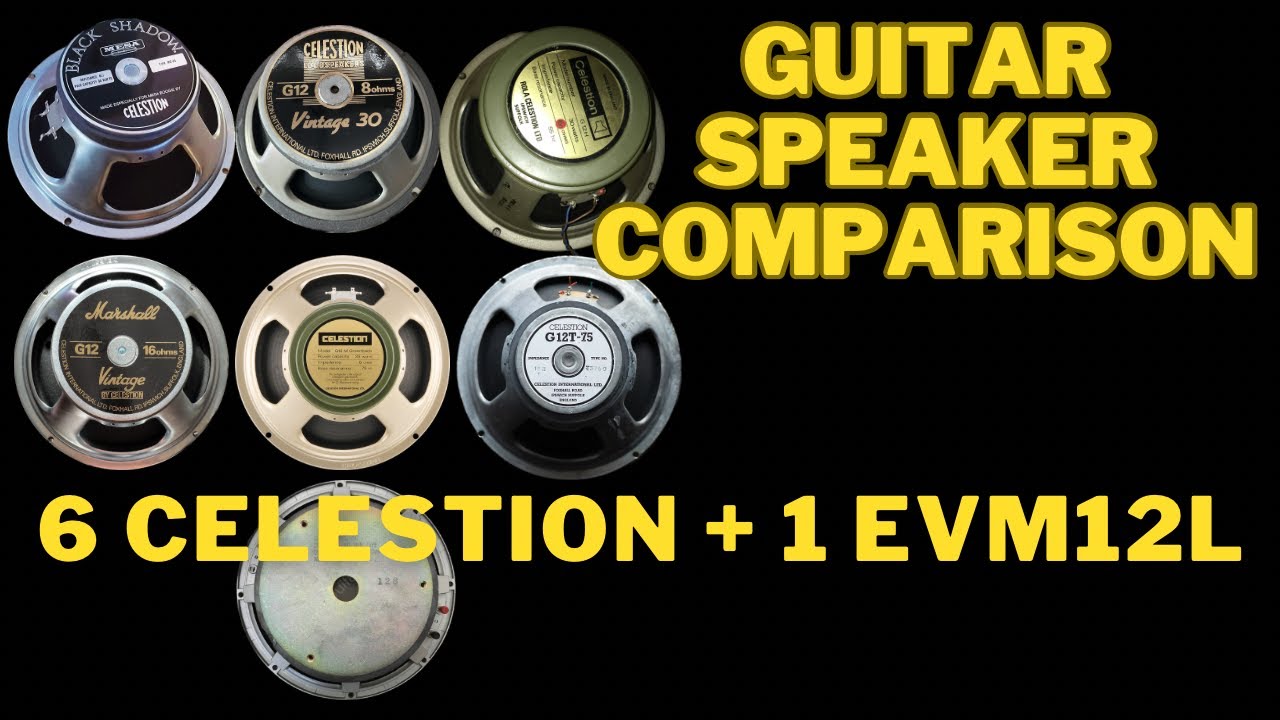 Guitar Speaker Comparison - 6 Celestion + 1 Electro-Voice